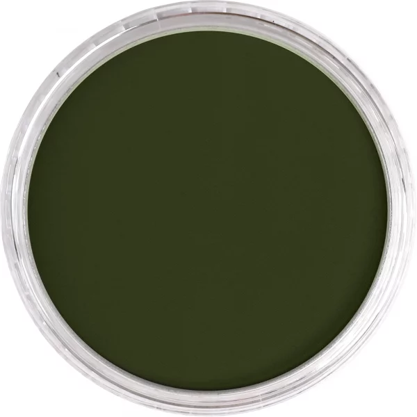 Couleurs à l'unité - PanPastel - Nuance de vert d'oxyde de chrome 660.3 – Image 3