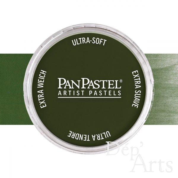 Couleurs à l'unité - PanPastel - Nuance de vert d'oxyde de chrome 660.3