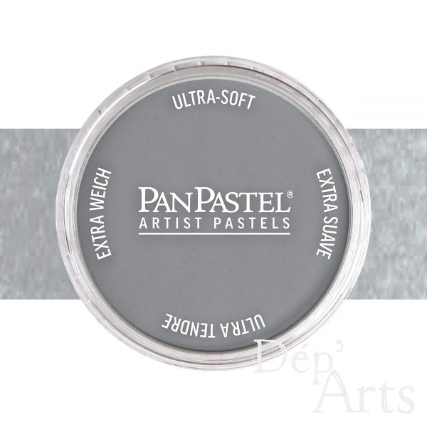 Couleurs à l'unité - PanPastel - Gris de Payne clair 840.7